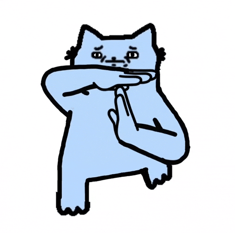 nubindia cat meme kitty shaq GIF