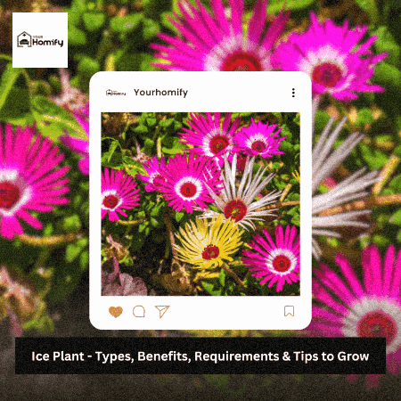 yourhomify giphygifmaker horticulture gardendesign homeandgarden GIF