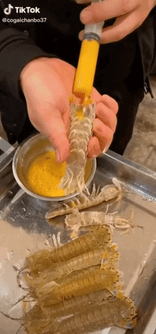 yj_jane giphygifmaker GIF