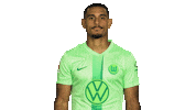 France No Sticker by VfL Wolfsburg