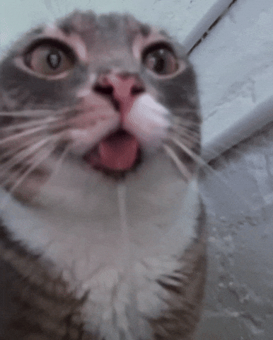 Eyes Locked Cant Look Away GIF