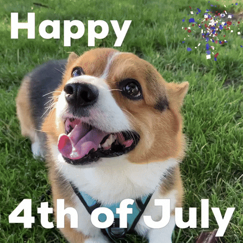 Happy 4Th Of July GIF