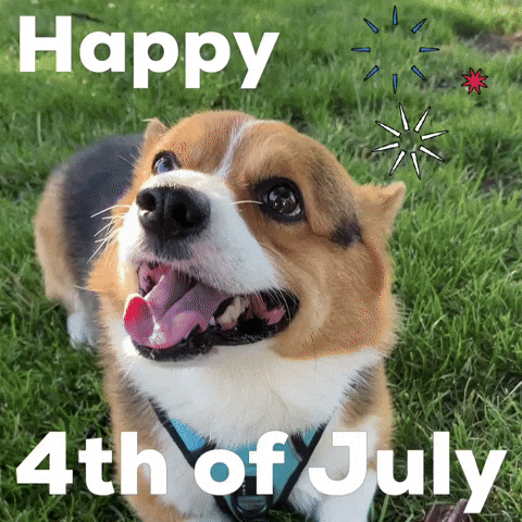 Happy 4Th Of July GIF