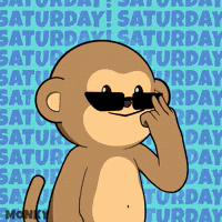 Good Morning Fun GIF by Wise Monkey Meme