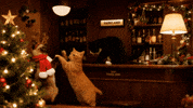 X-Mas Christmas GIF