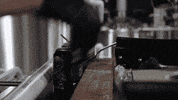 blackplaguebrewing craft beer beer cans beer pour black plague GIF