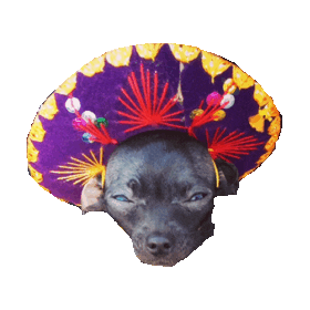 stoned mexican STICKER by imoji