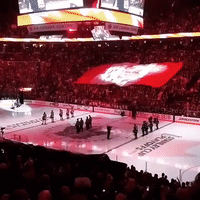 Emotional Scenes at Air Canada Centre as Toronto Maple Leafs Tie Series