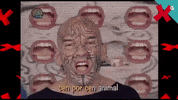 Xabarin Tvg GIF by TVGalicia