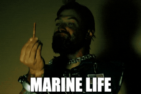 Marine Life Reaction GIF by Black Rifle Coffee Company