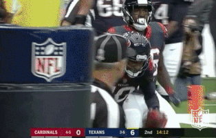 houston texans football GIF by NFL