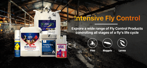 LodiUK giphyupload lodi lodi uk fly control GIF