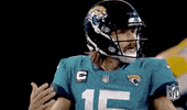 National Football Association GIF by NFL