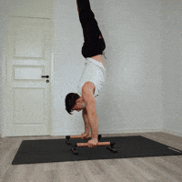 Calisthenics Handstand GIF