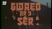 gwaed ar y ser GIF by S4C