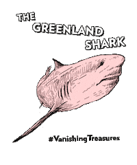 Greenland Shark Sticker by Doubleday Books