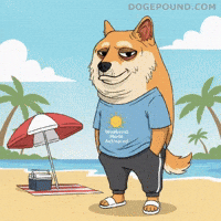 Relaxed Shiba Inu GIF by Doge Pound