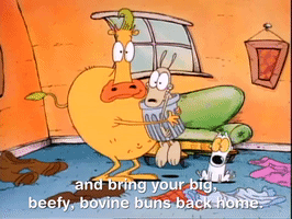 rockos modern life nicksplat GIF