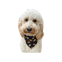 Dog Christmas Sticker by Geekster Pets