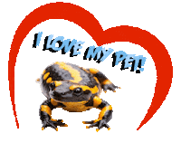 Guinea Pig Love Sticker