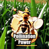 Bee Pollen GIF by Beelightened