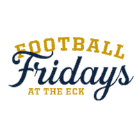 Notre Dame Nfl Sticker by University of Notre Dame