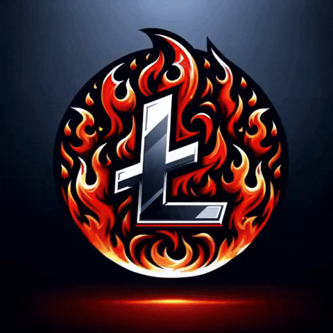 Fire Crypto GIF by Litecoin