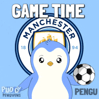 Lets Go Football GIF by Pudgy Penguins