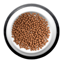 Cat Dog Sticker by Amanova Pet Food