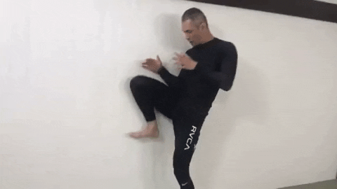 ritchieyip giphygifmaker back kick GIF