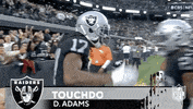 Las Vegas Raiders Football GIF by NFL