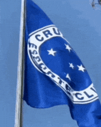 Cruzeiro Esporte Clube GIF