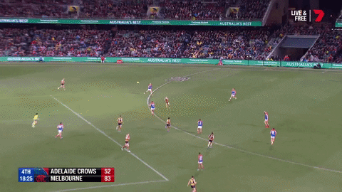 round 19 goal GIF by Adelaide Crows
