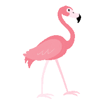 flamingo Sticker by Sunset Terrazza