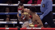 toprank fight boxing fighting espn GIF