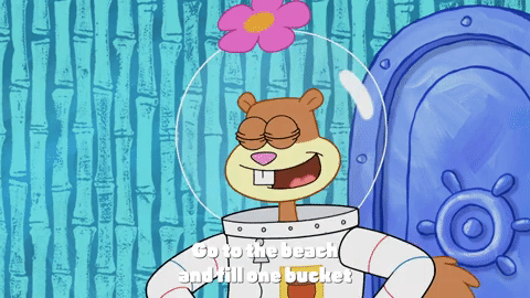 season 9 the fish bowl GIF by SpongeBob SquarePants