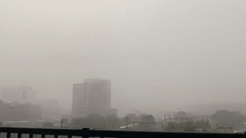 'Crazy Storm': Severe Thunderstorm Sweeps Through Jersey City