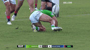 Nrl Greenmachine GIF by Canberra Raiders