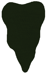 Plant Leaves Sticker