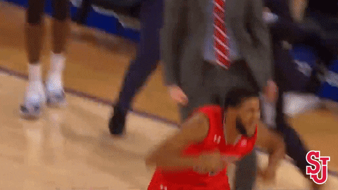 Ncaa Sports Sport GIF by St. John's Red Storm