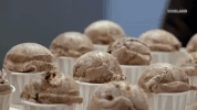 viceland GIF by THE ICE CREAM SHOW