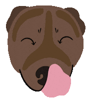 Cute Dog Pitbull Sticker