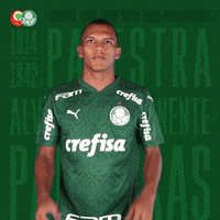 Happy Feliz GIF by SE Palmeiras