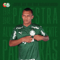Happy Puma GIF by SE Palmeiras