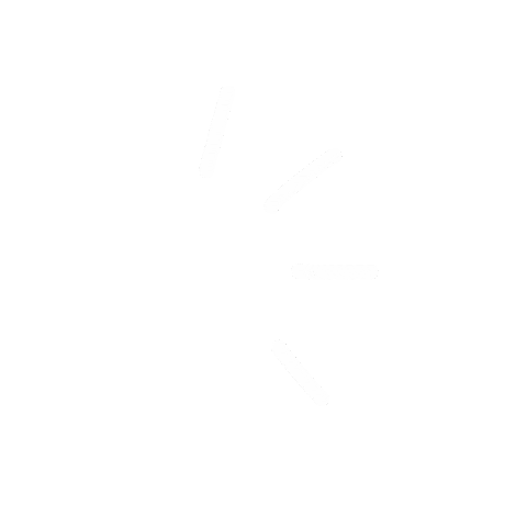 salodesign_studio giphyupload かわいい くま 動物 Sticker