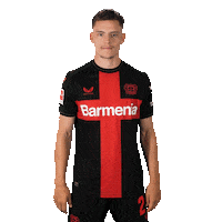 Love And Peace Win Sticker by Bayer 04 Leverkusen