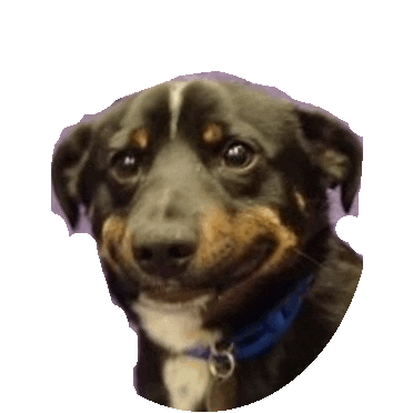 smile awkward STICKER by imoji