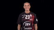 Hbf Zwickau GIF by Handball Bundesliga Frauen