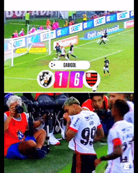 Fla GIF