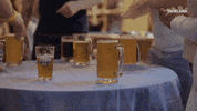 Beer Mug GIF by BEERLAND
